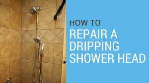 Shower Repair experts